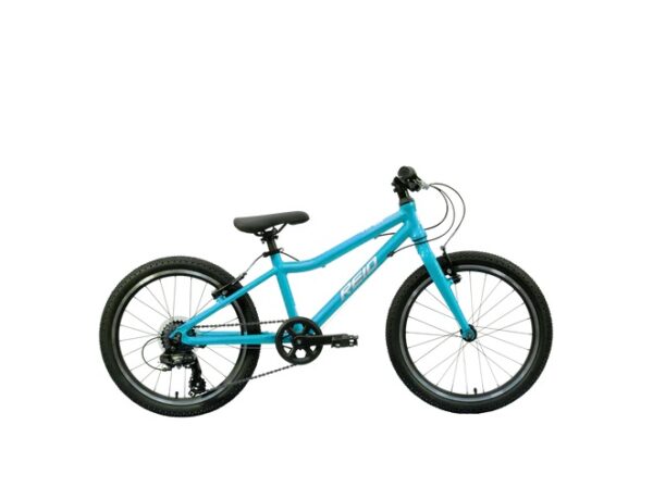 REID Viper 20 teal