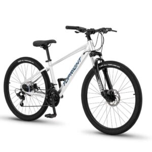 Biçikletë TOPRIGHT M800 26" silver