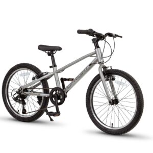 Biçikletë TOPRIGHT SC700 20" titanium